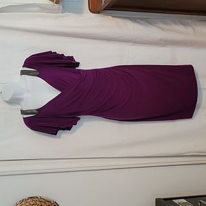 Ralph Lauren Fuchsia Dress Size 10